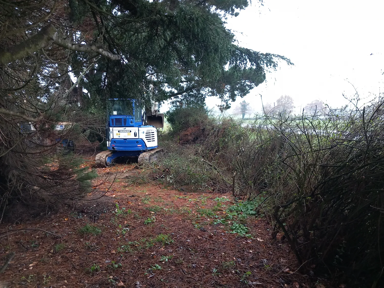 micro station d epuration pont pean